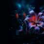 Journey of Serenity and Self-Discovery